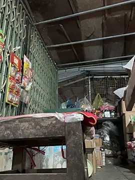 YANINA120 网络视讯表演