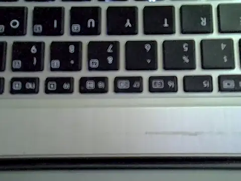 Show webcam de Delicious-D