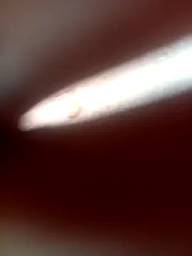 FinableKnee 现场XXX聊天