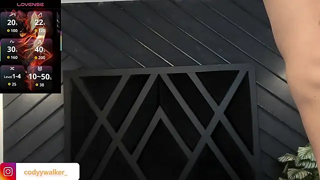 Chat XXX Live CodyWalkerR