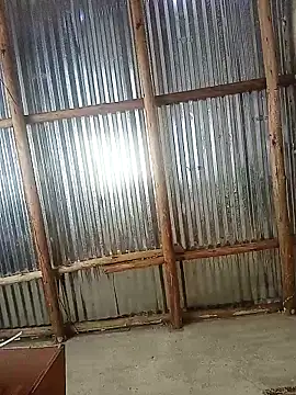 lilpip 라이브 XXX 채팅