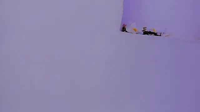 Онлайн чат XXX lia_quinn