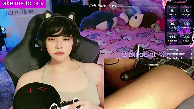 BimboCat 라이브 XXX 채팅