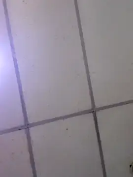 Kimberly_2312 – webcam-show