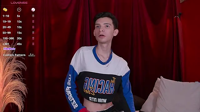 VicenteFerrer webcam show