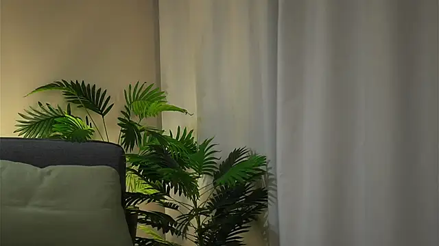 akumadadrive 现场XXX聊天