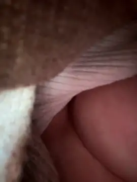 eveangelll: απευθείας συνομιλία ΧΧΧ