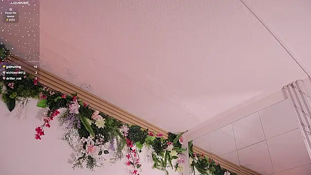 Chat XXX ao vivo de kaylee_lee