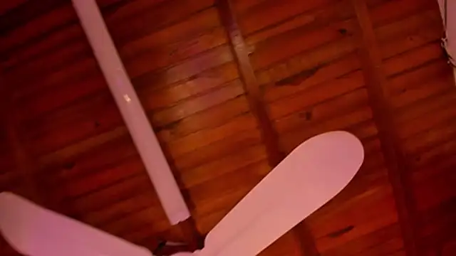 Gabby_Haze 라이브 XXX 채팅