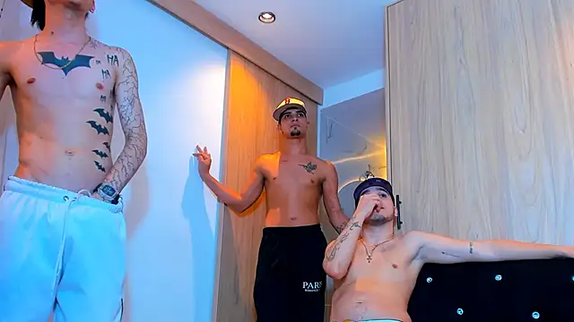 Show webcam de TheBatMansion