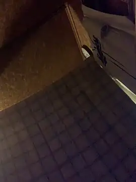 Ldnick69 webkamerás műsora