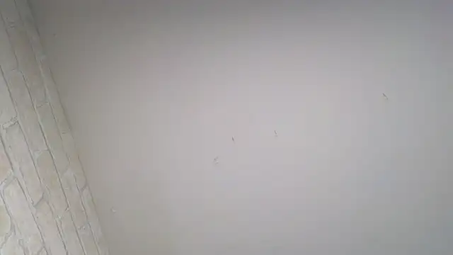 Lily_Luxee 现场XXX聊天