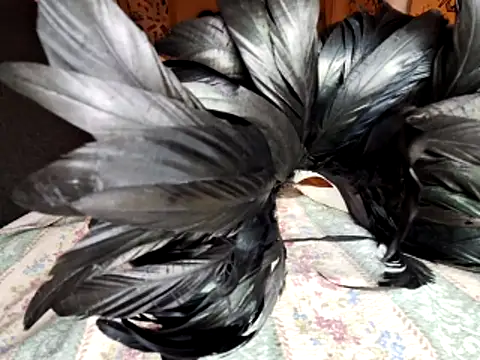 AnalAcrobatxXx Webcam-Show