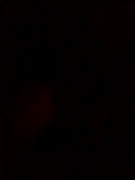 Živý XXX chat lusy-bae