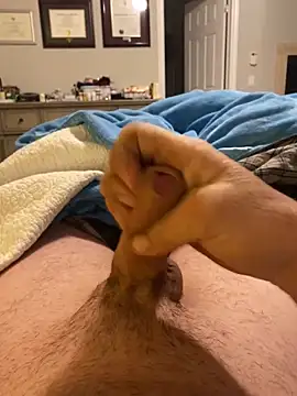 toyotagts Webcam-Show