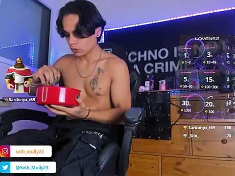 Seth_Mollyn Webbikameraesitys