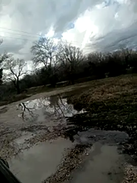 twitsheのライブXXXチャット