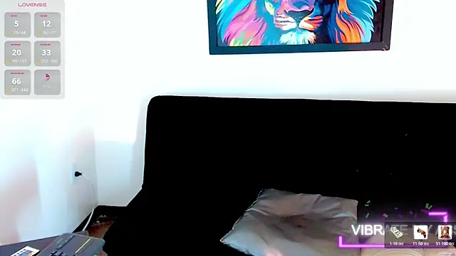 Show Webcam de Sasha_calle