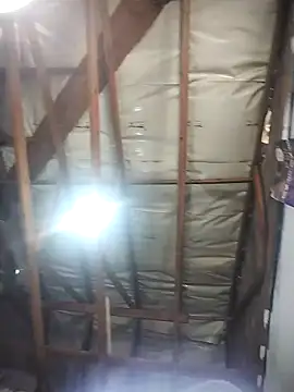 queenbusty webkamerás műsora