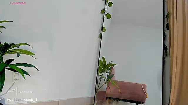 sushiboxxx 现场XXX聊天