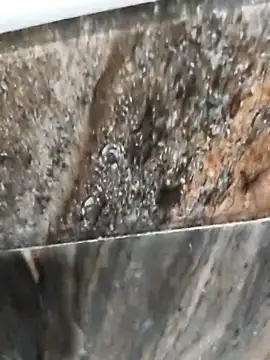 Bengal_Tiger420: онлайн-секс-чат