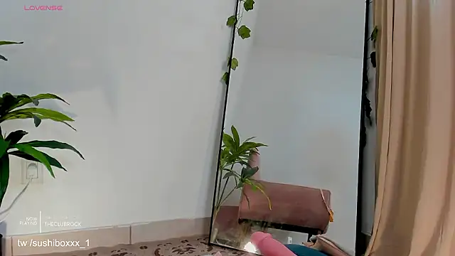 sushiboxxx 라이브 XXX 채팅