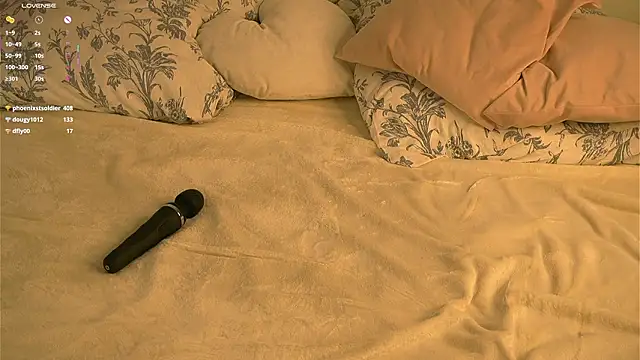 Show Webcam de VernonGarcias