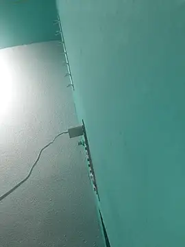 Show Webcam de Villageanuty