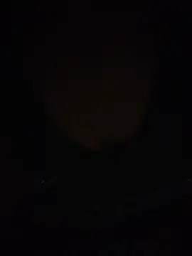 Sara782f's Live XXX Chat