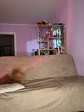 KassandraTress 现场XXX聊天