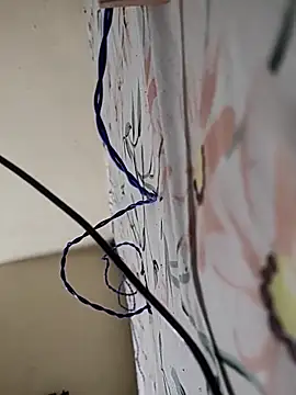 Telugu_person12n Webbikameraesitys