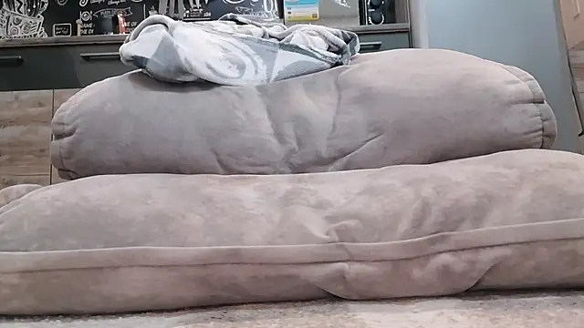 Czat XXX na żywo – Dick072