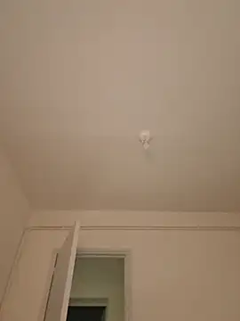 Show Webcam de wedge75