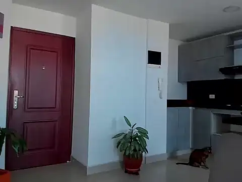 Chatroom XXX en direct de Alexander_Martines