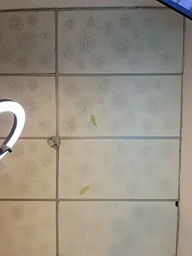 Chat XXX en directo de AxelMuller