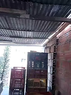 hotederのウェブカメラショー