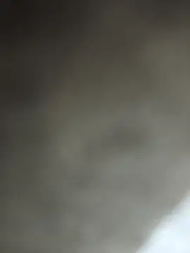 Bengal_Tiger420 Live XXX Chat