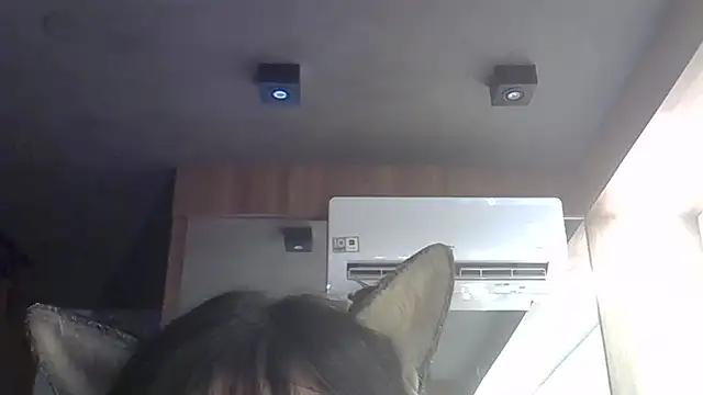 Show de SkinnyKitten na webcam