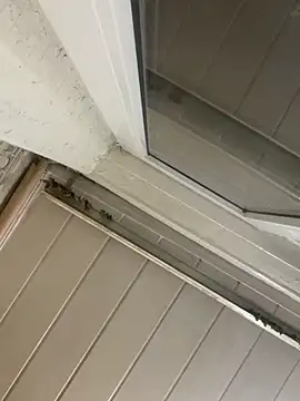 Онлайн чат XXX BogdanNegoda