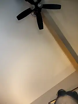 TheDime 라이브 XXX 채팅