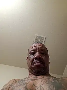 yellowwetfox webcam show