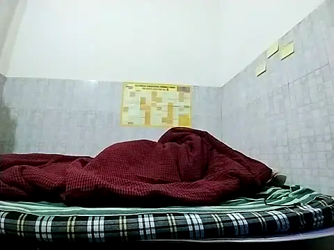 bigvorn6 网络视讯表演