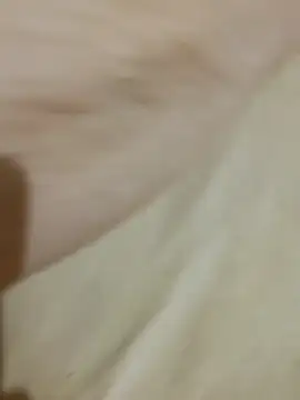 Show Webcam de Halunja