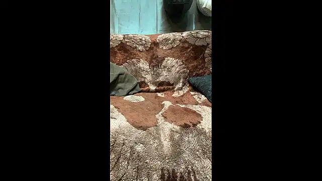 KBONE36 라이브 XXX 채팅