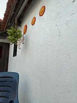 PrincesLeo webcam show