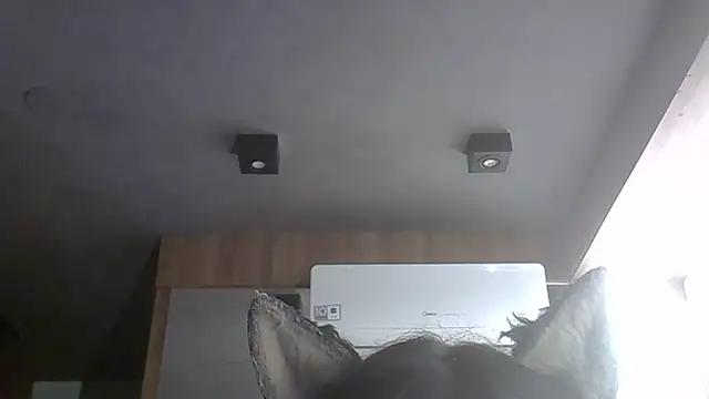 SkinnyKitten 现场XXX聊天