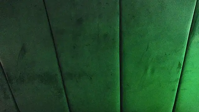 Aaron_Ezeのウェブカメラショー