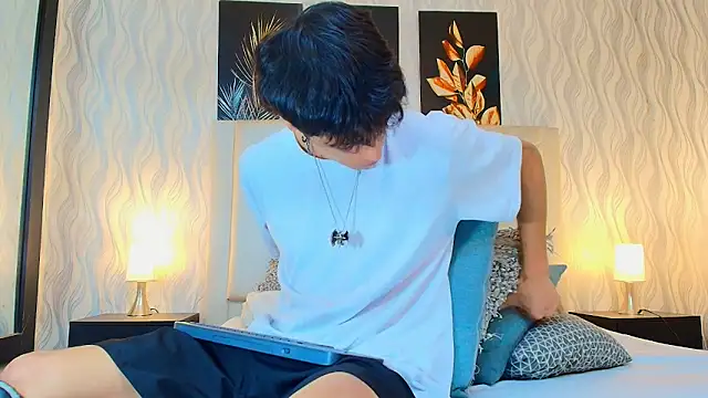 Lean_Portmann Webbikameraesitys