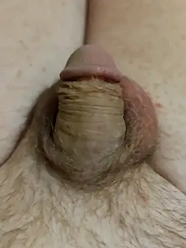 عرض كام Halunja