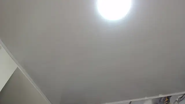 Zaaida_ – Live XXX-chat